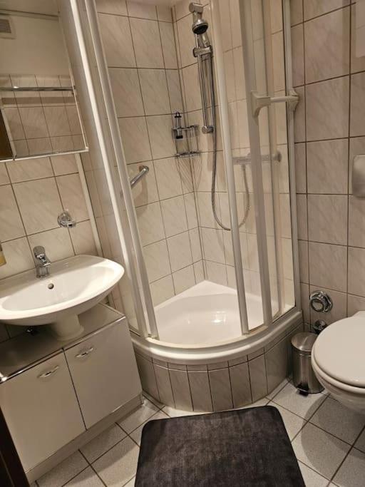 A&E Apartment Am Sorpesee Langscheid  Exteriör bild
