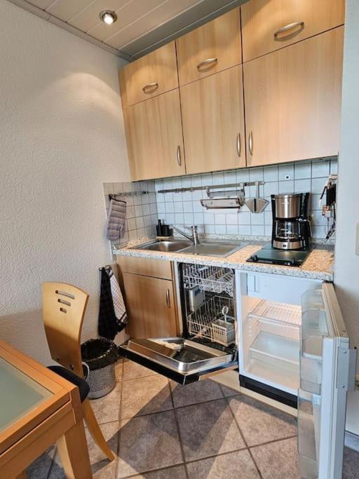 A&E Apartment Am Sorpesee Langscheid  Exteriör bild